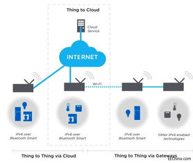 探讨第439页新品软件开发 创新与优化的前沿实践